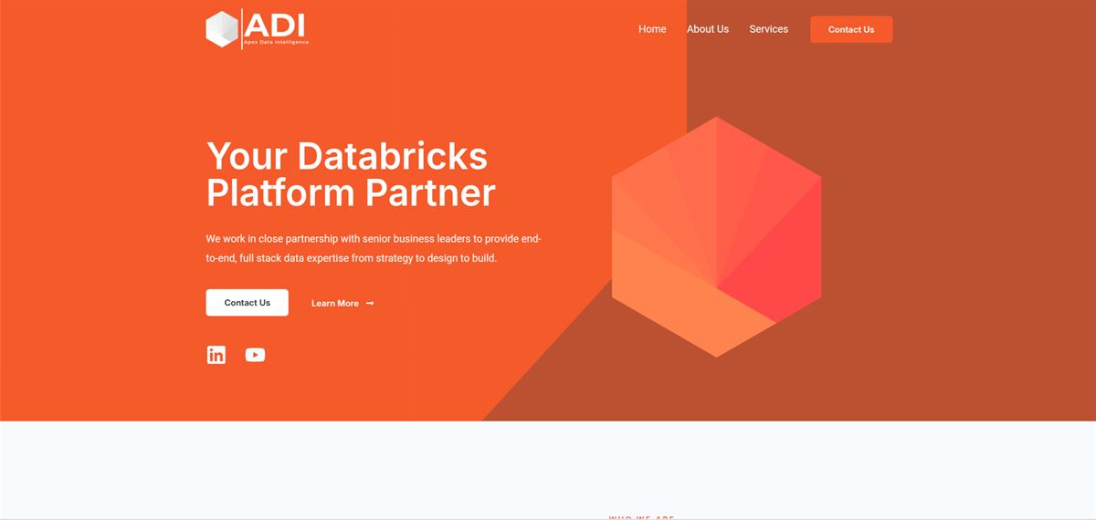 Apex Data Intelligence website homepage with the Databricks platform partner hero banner