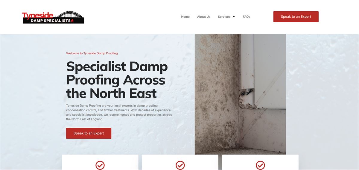 Tyneside Damp Specialists website homepage for the damp proofing business